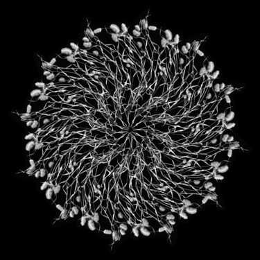 Arte digitale intitolato "crea-nature-morte-19" da Daniel Nassoy, Opera d'arte originale, Carta