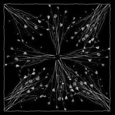 数字艺术 标题为“crea-nature-morte-28” 由Daniel Nassoy, 原创艺术品, 纸