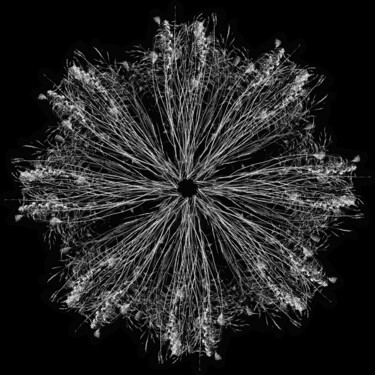 数字艺术 标题为“crea-nature-morte-9” 由Daniel Nassoy, 原创艺术品, 纸