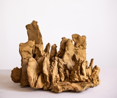 Escultura titulada "Chaos de loess" por Dominique Ganiage, Obra de arte original, Arcilla