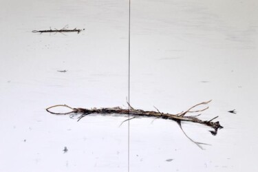 「Phacochère2」というタイトルの描画 Antoine Poncetによって, オリジナルのアートワーク, 鉛筆