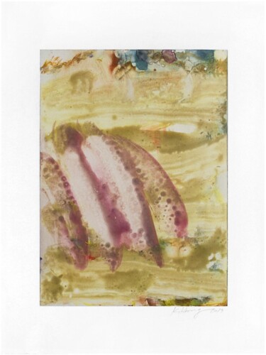 Printmaking titled "untitled no.24" by Kitikong Tilokwattanotai, Original Artwork, Monotype