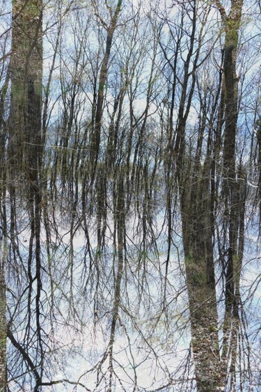 Photographie intitulée "Dreesens-Theorem-10…" par Richard Dreesens, Œuvre d'art originale, Impression numérique Monté sur Au…