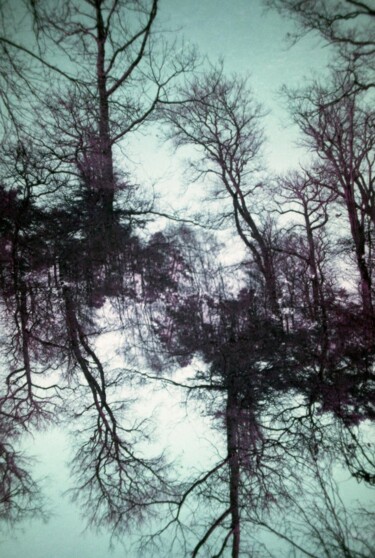 Printmaking titled "Dreesens-Theorem-01" by Richard Dreesens, Original Artwork, Digital Print