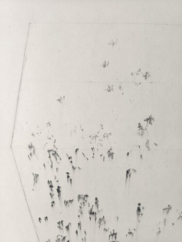 Disegno intitolato "Chevaux en boîte" da Frédérique Nolet De Brauwere, Opera d'arte originale, Inchiostro