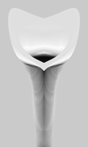 Photography titled "Surreal Vision" by Mercedes Parodi, Original Artwork, Digital Print