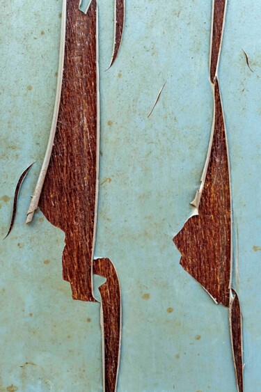 Фотография под названием "Peinture écaillée" - Bernard Jaubert, Подлинное произведение искусства, Цифровая печать