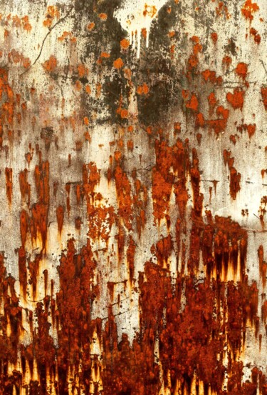 "Metal 3" başlıklı Fotoğraf Bernard Jaubert tarafından, Orijinal sanat, Dijital baskı