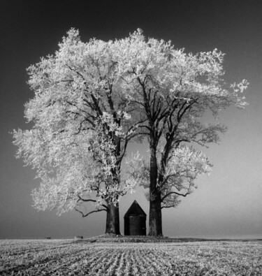 제목이 "La chapelle aux arb…"인 사진 Philippe Houzé로, 원작, 종이