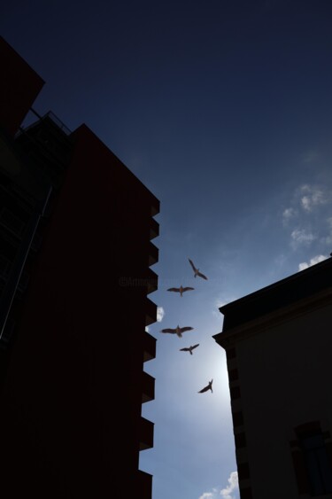 Digital Arts titled "Entre les murs " by Denis Larzul, Original Artwork, Digital Print