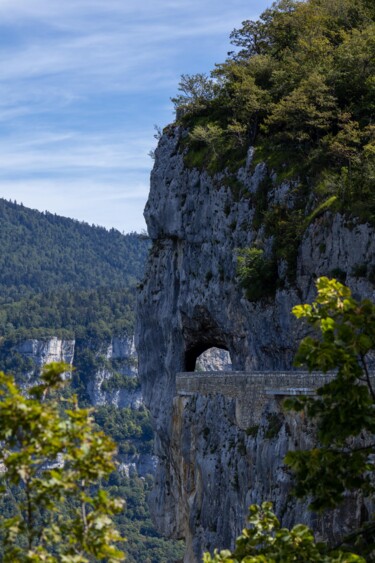 Fotografia intitolato "Le passage de l’élé…" da Denis Larzul, Opera d'arte originale, Carta