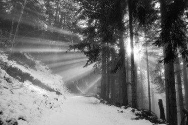 "The Angel" başlıklı Fotoğraf Aliénor Lambert tarafından, Orijinal sanat, Dijital baskı