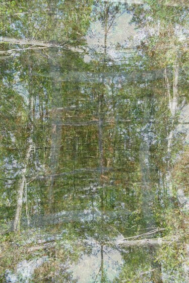 Printmaking titled "Portal-061" by Richard Dreesens, Original Artwork, Digital Print