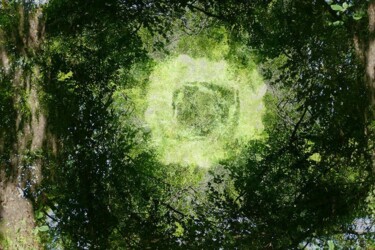 Photography titled "Portal-746" by Richard Dreesens, Original Artwork, Digital Print