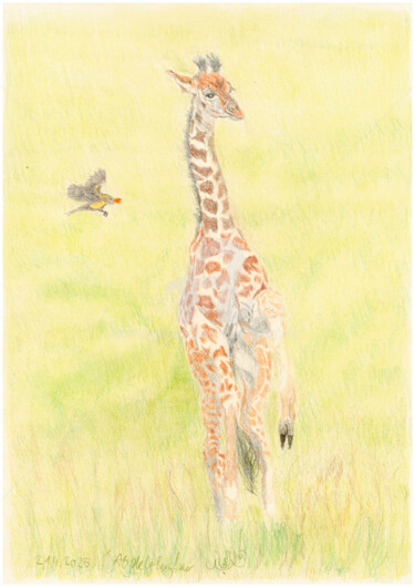 图画 标题为“Giraffenbaby” 由Luethi Alias Abdelghafar, 原创艺术品, 孔戴