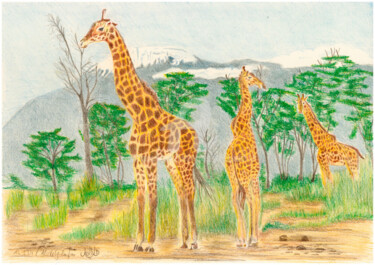 Giraffen-Triologie Disegno intitolato "Giraffen-Triologie" da Luethi Alias Abdelghafar, Opera d'arte originale, Matite colorate