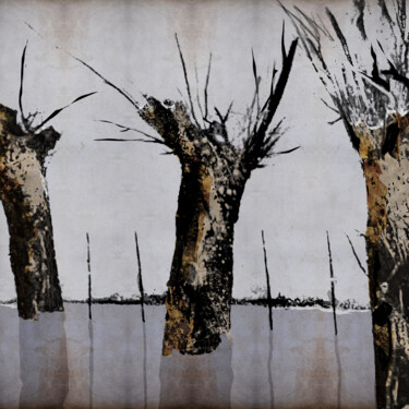 Digitale Kunst getiteld "threetrees" door Hubert Egartner, Origineel Kunstwerk, Digitale collage