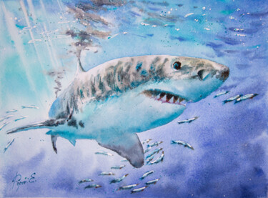「A shark in front of…」というタイトルの絵画 Eugene Popovによって, オリジナルのアートワーク, 水彩画
