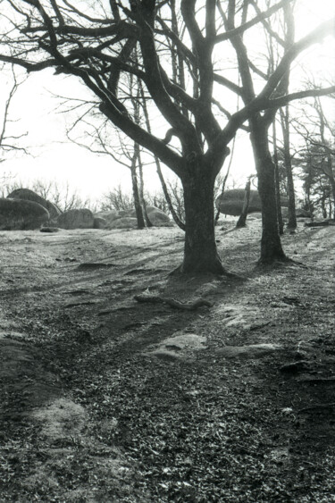 Fotografia intitulada "F/64 TYPE" por Jérémie Lalemant, Obras de arte originais, Fotografia de filme