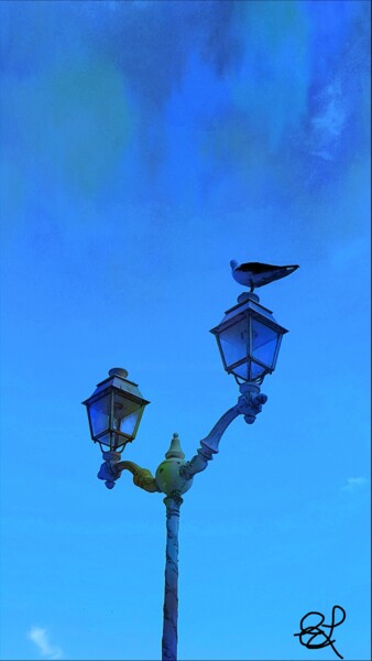 Photography titled "Le goéland perché" by Emma Laflute, Original Artwork, Manipulated Photography