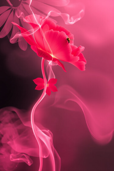 Arte digitale intitolato "Adimol" da Kubicol, Opera d'arte originale, Stampa digitale