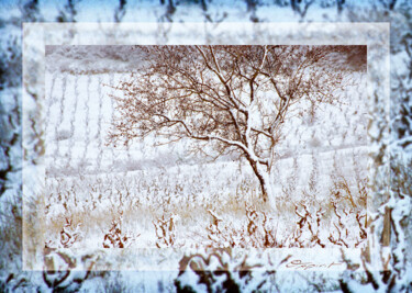 Fotografía titulada "Silence blanc" por Gilles Deschamps (OXPIRIT), Obra de arte original, Fotografía digital Montado en art…