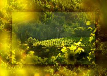 Chlorophylle en marche Fotografía titulada "Chlorophylle en mar…" por Gilles Deschamps (OXPIRIT), Obra de arte original, Fotografía digital Montado…