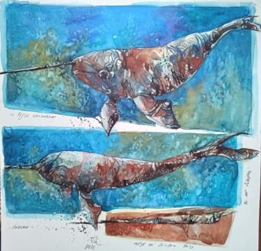 Pittura intitolato "Narvalo" da Federico Brambilla, Opera d'arte originale, Acquarello