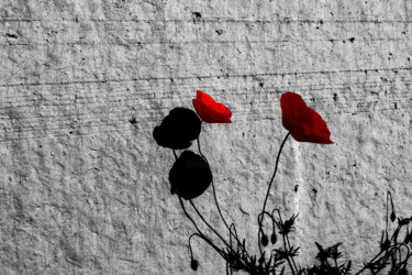 "Coquelicot et mur" başlıklı Fotoğraf Ambre Art tarafından, Orijinal sanat, Fotoşoplu fotoğrafçılık