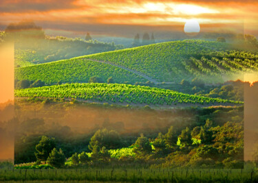 Premiers souffles Fotografía titulada "Premiers souffles" por Gilles Deschamps (OXPIRIT), Obra de arte original, Fotografía digital Montado en…
