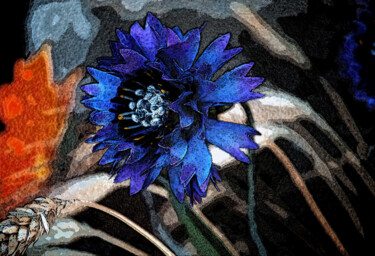 Fotografia intitolato ""Composizione "" da Angelo Mazzoleni, Opera d'arte originale, Fotografia digitale