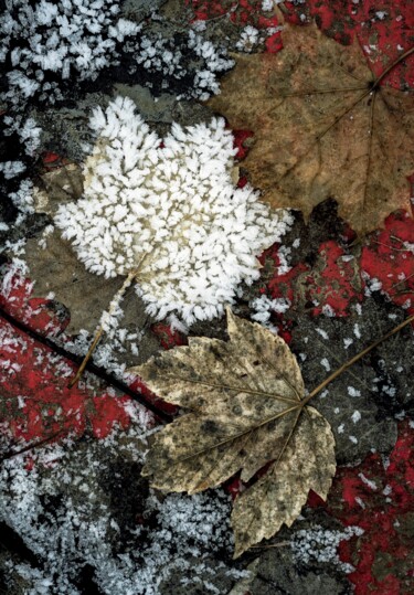 Fotografie getiteld "" Inizio inverno"" door Angelo Mazzoleni, Origineel Kunstwerk, Niet gemanipuleerde fotografie