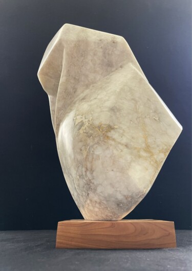 Escultura titulada "PROJECTION 3 - MARB…" por Daniel Sanchez, Obra de arte original, Piedra