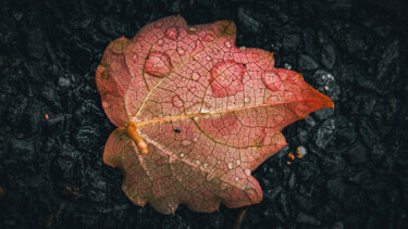 Fotografie getiteld "Feuille avec goute…" door Taïka, Origineel Kunstwerk, Digitale fotografie