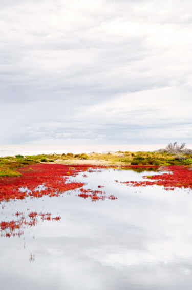 Photography titled "SCAPES-Crimson grass" by Olivier Cuvelette, Original Artwork, Digital Photography