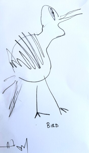 Drawing titled "Bird" by Paul Hartel, Original Artwork, Charcoal