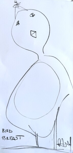 제목이 "Bird Breast"인 그림 Paul Hartel로, 원작, 숯