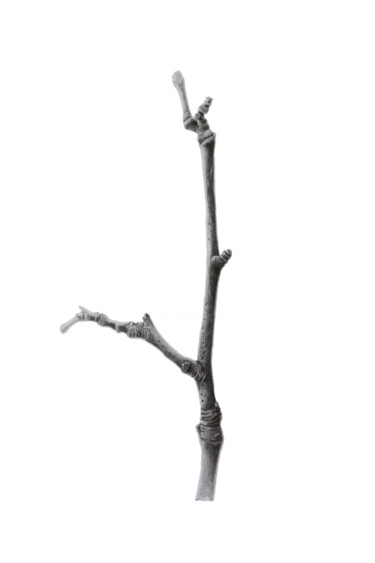 Drawing titled "Ordinary branch" by Oksana Oleksiiva, Original Artwork, Graphite