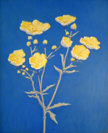 Bouton d'or "Bouton d'or" başlıklı Tablo François Cusson tarafından, Orijinal sanat, Pastel Ahşap panel üzerine monte edilmiş