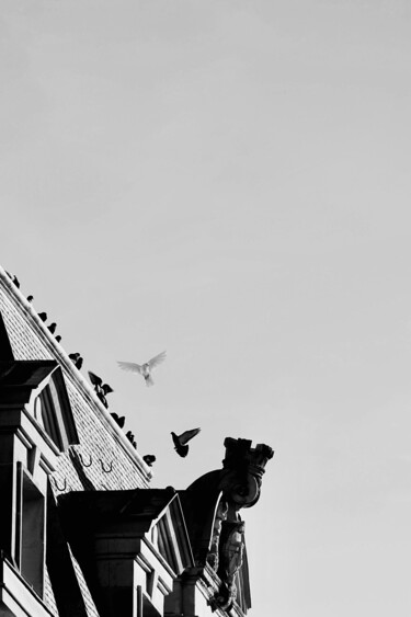 Photography titled "En noir et blanc" by Denis Larzul, Original Artwork, Digital Photography