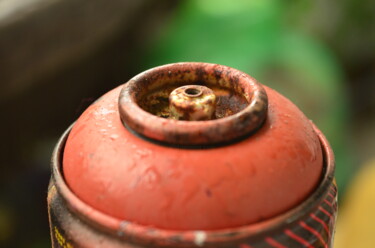 "RostCan" başlıklı Fotoğraf Mick Paulat tarafından, Orijinal sanat, Dijital Fotoğrafçılık