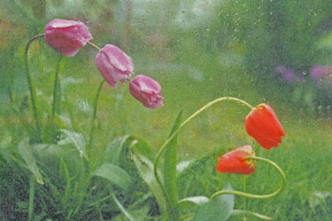 "Mes Tulipes sous la…" başlıklı Fotoğraf Hoang Cong Minh tarafından, Orijinal sanat, Analog Fotoğrafçılık