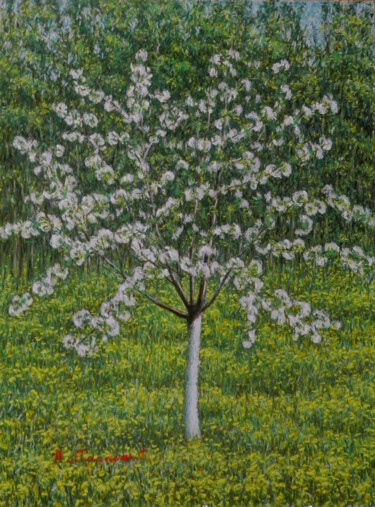 제목이 "Cherry blossom"인 미술작품 Arkady Paransky로, 원작, 파스텔