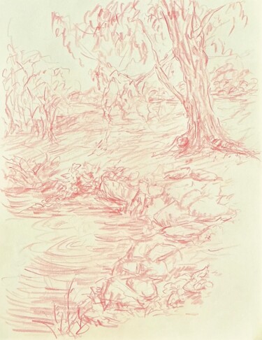 Disegno intitolato "Little pond." da Victoria General, Opera d'arte originale, Matita
