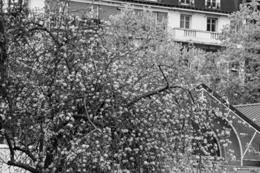 Au printemps 2025