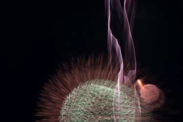 Abstract Flowers 0x22ACAA68 opus 6 #1/5 Photography titled "Abstract Flowers 0x…" by Éric Petr, Original Artwork, Non Manipulated Photography