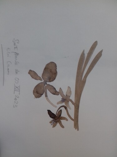 Painting titled "Fleur imaginaire n°…" by Eloi Camus, Original Artwork, Ink