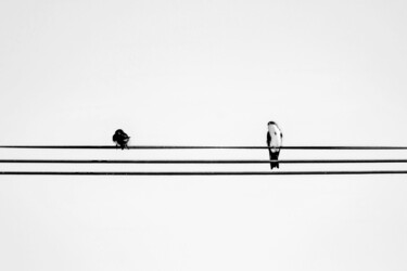 Intervenções Urbanas 10 Photography titled "Intervenções Urbana…" by Sergio Benetti, Original Artwork, Digital Photography