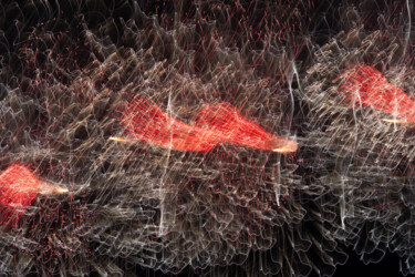 "Abstract Flowers 0x…" başlıklı Fotoğraf Éric Petr tarafından, Orijinal sanat, Fotoşopsuz fotoğraf