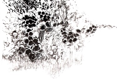 Drawing titled "Hortensia à Locronan" by Dominique Leblanc, Original Artwork, Ink